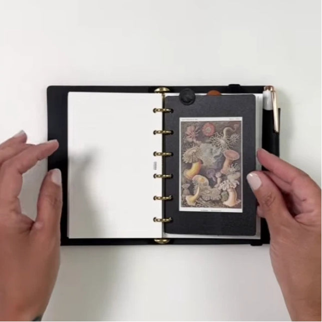 DIY Divider 