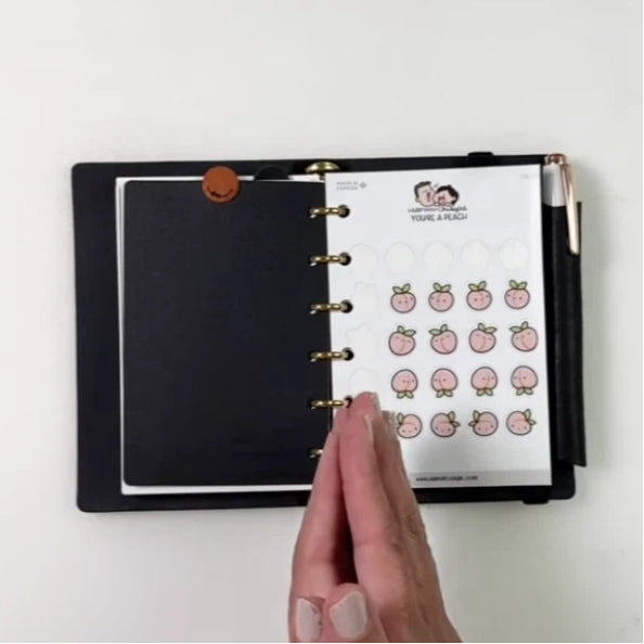 Sticker Punch Setup